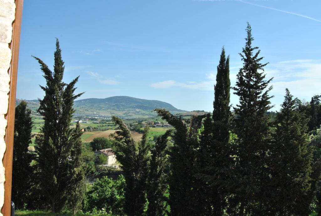 Bed and Breakfast La Finestra Sul Conero Castelfidardo Zimmer foto